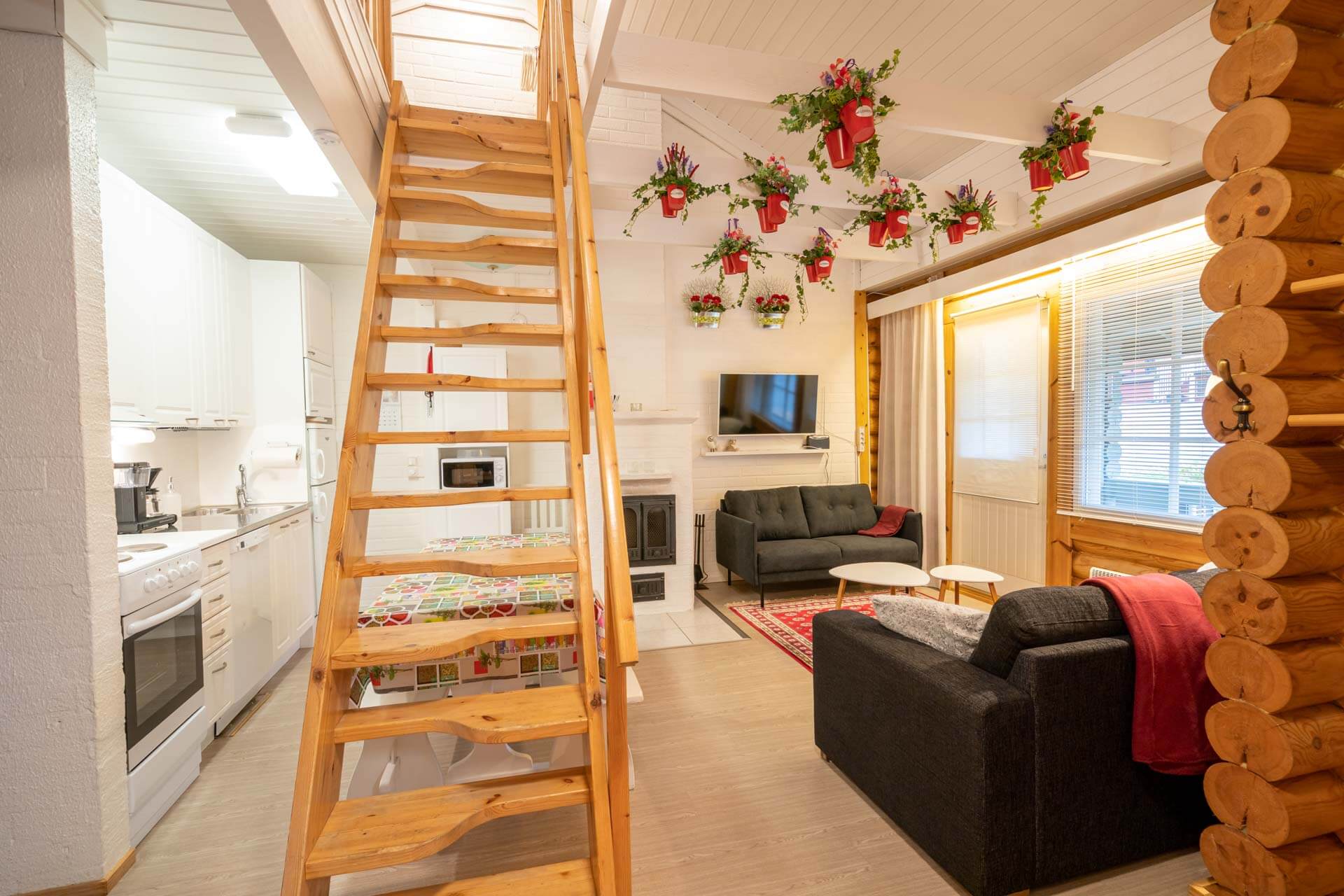 himoslomat_sayrylanmaja_12_201007164632
