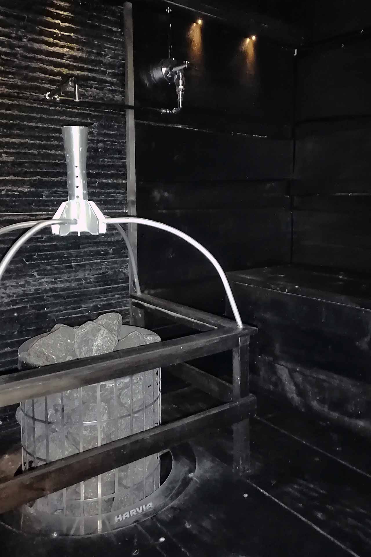 2022_pikkuleijona_10
