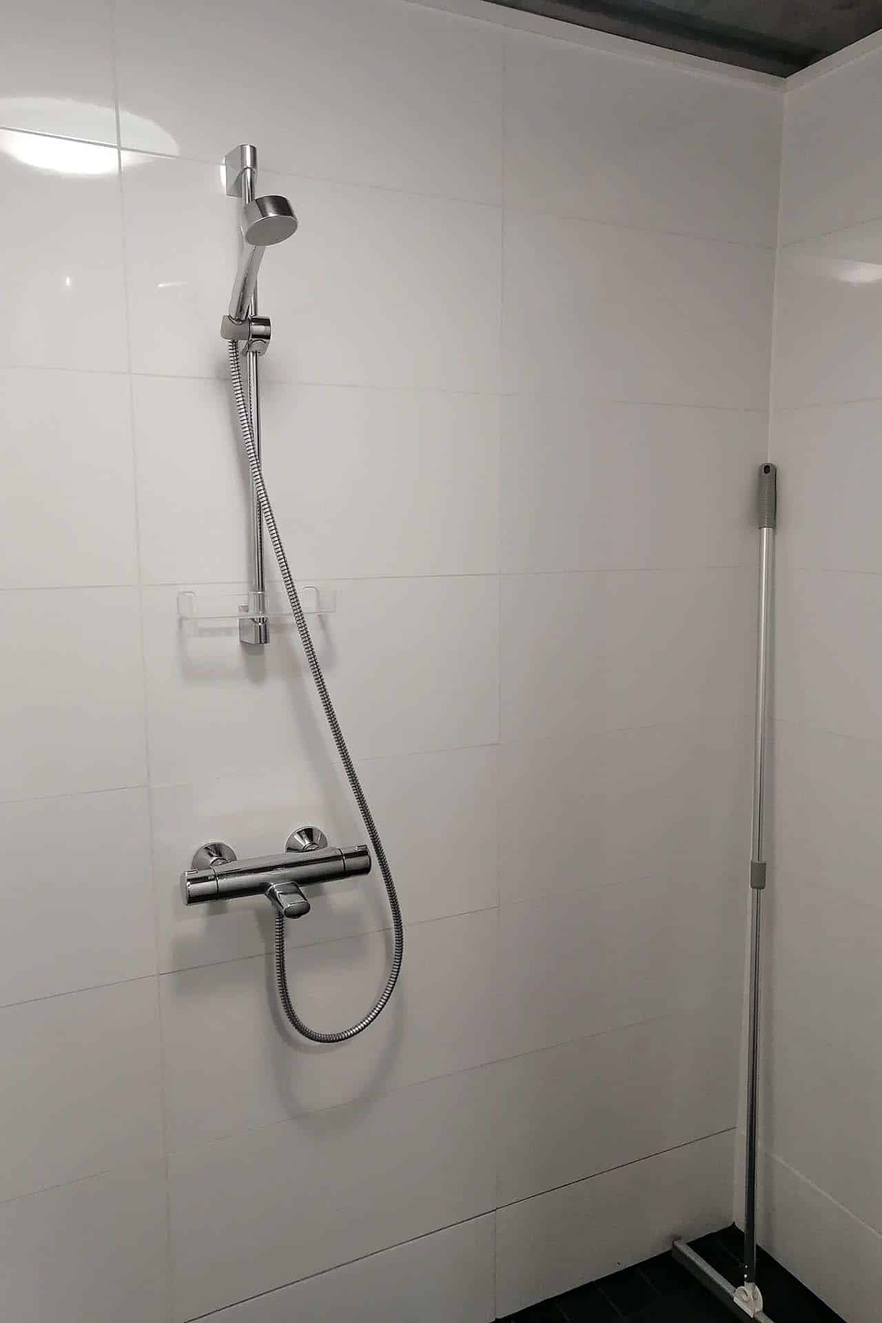 2022_pikkuleijona_11
