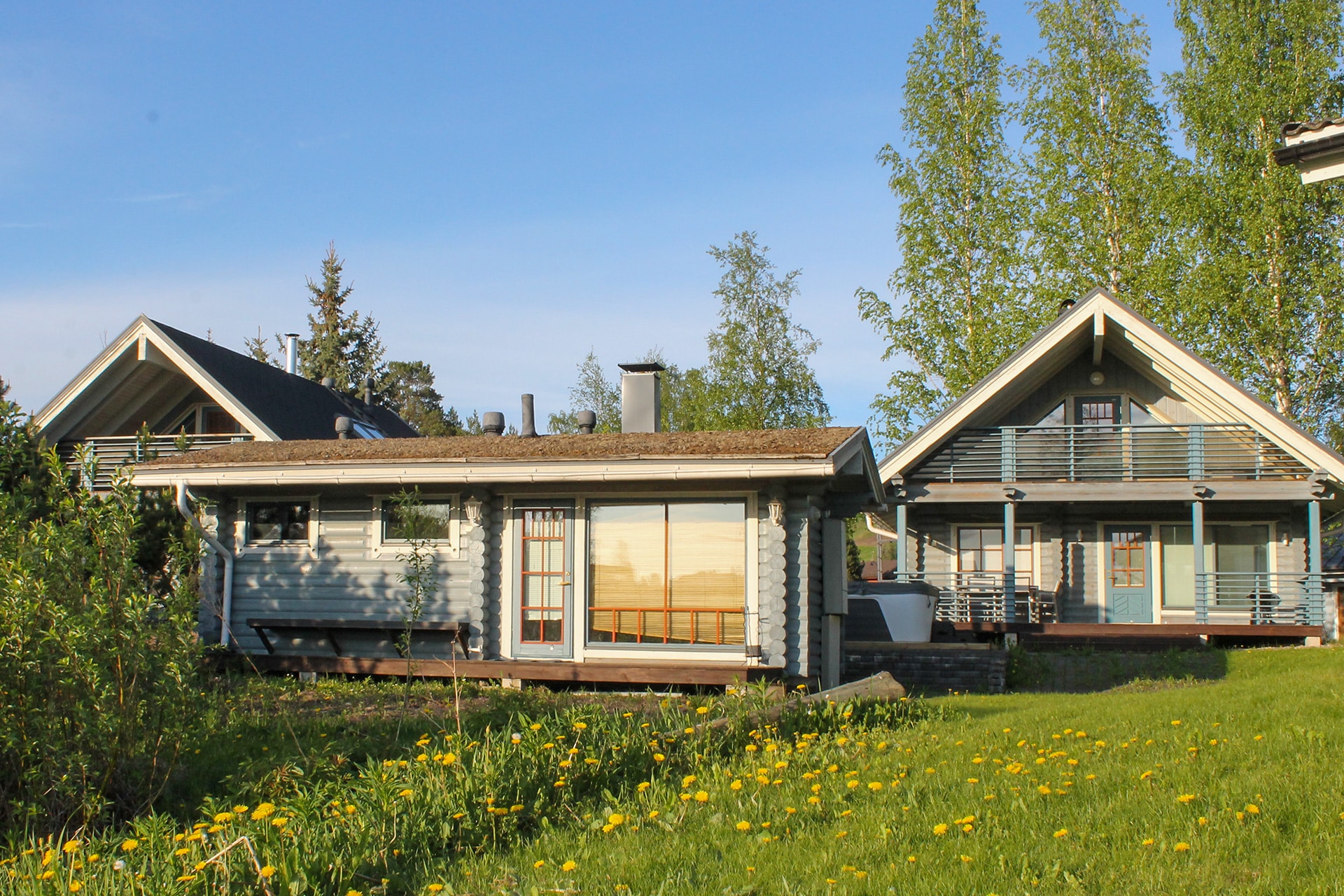 2023_laaksonhelmi1_kesa3
