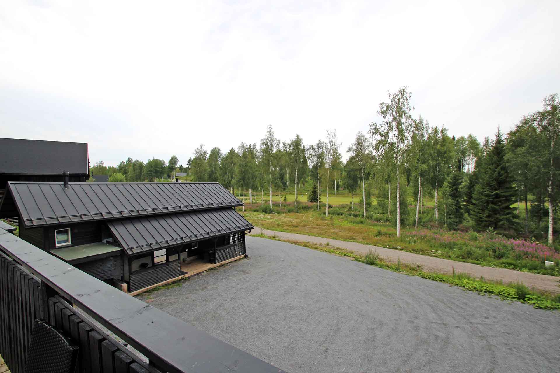 2024_leijonanluola_5
