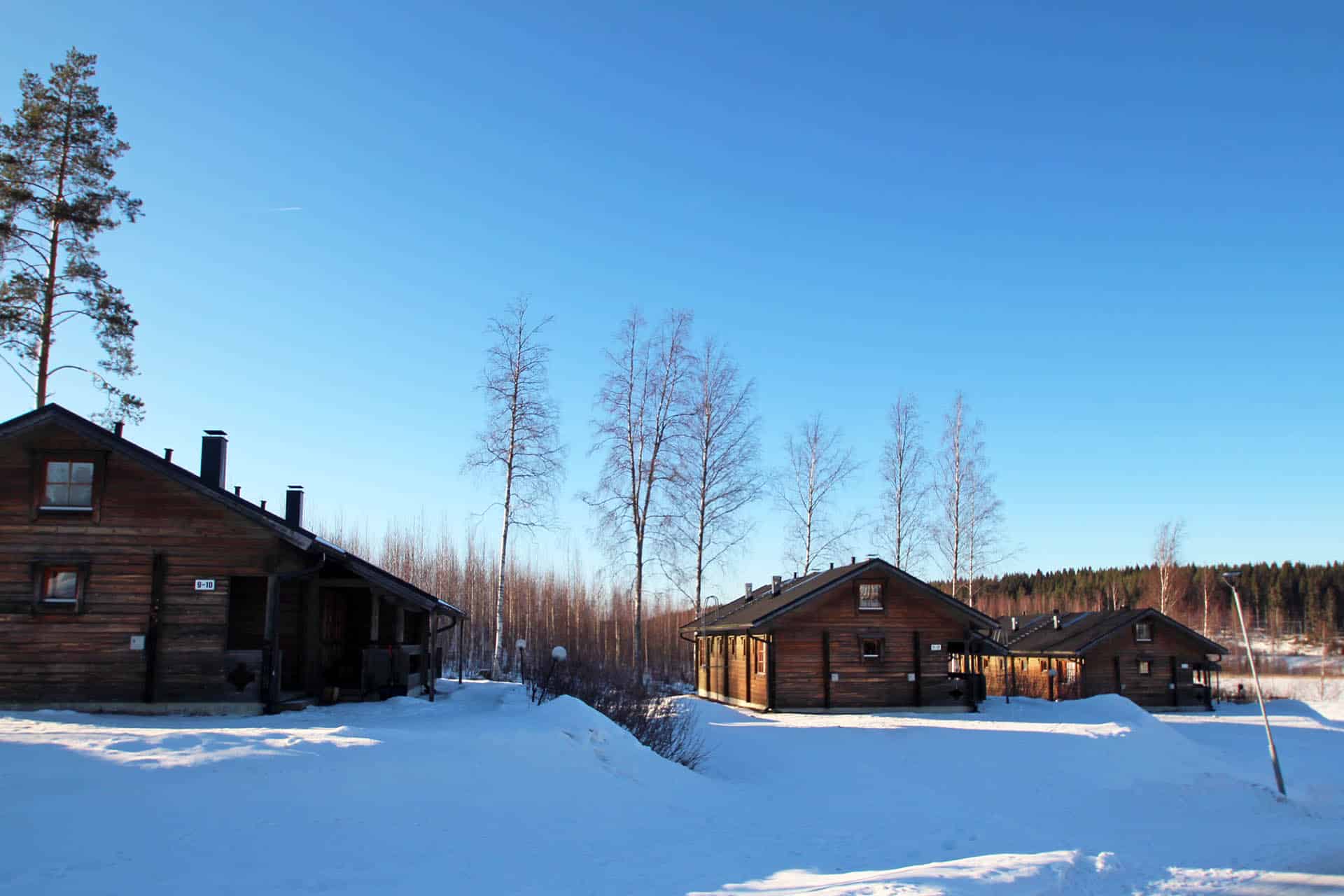 2025_koivula9_3