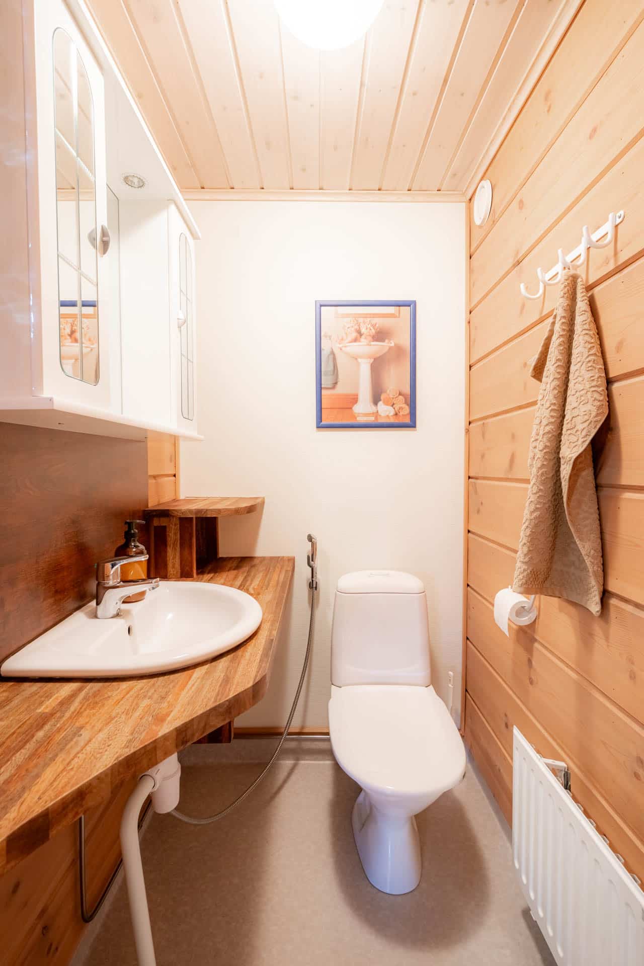 HimosLomat_Rantahovi-1A-18
