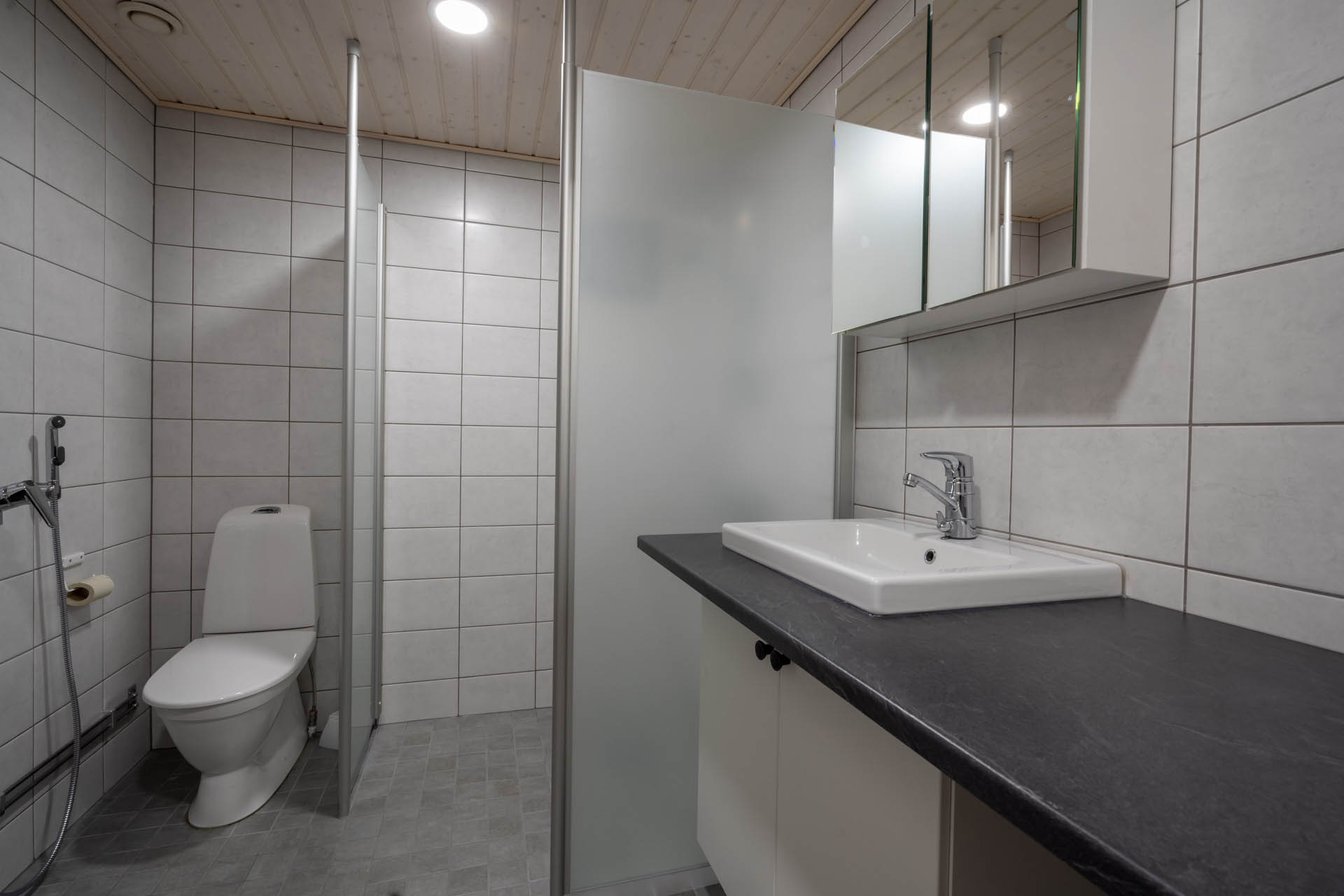 2019_alppihimos20_11
