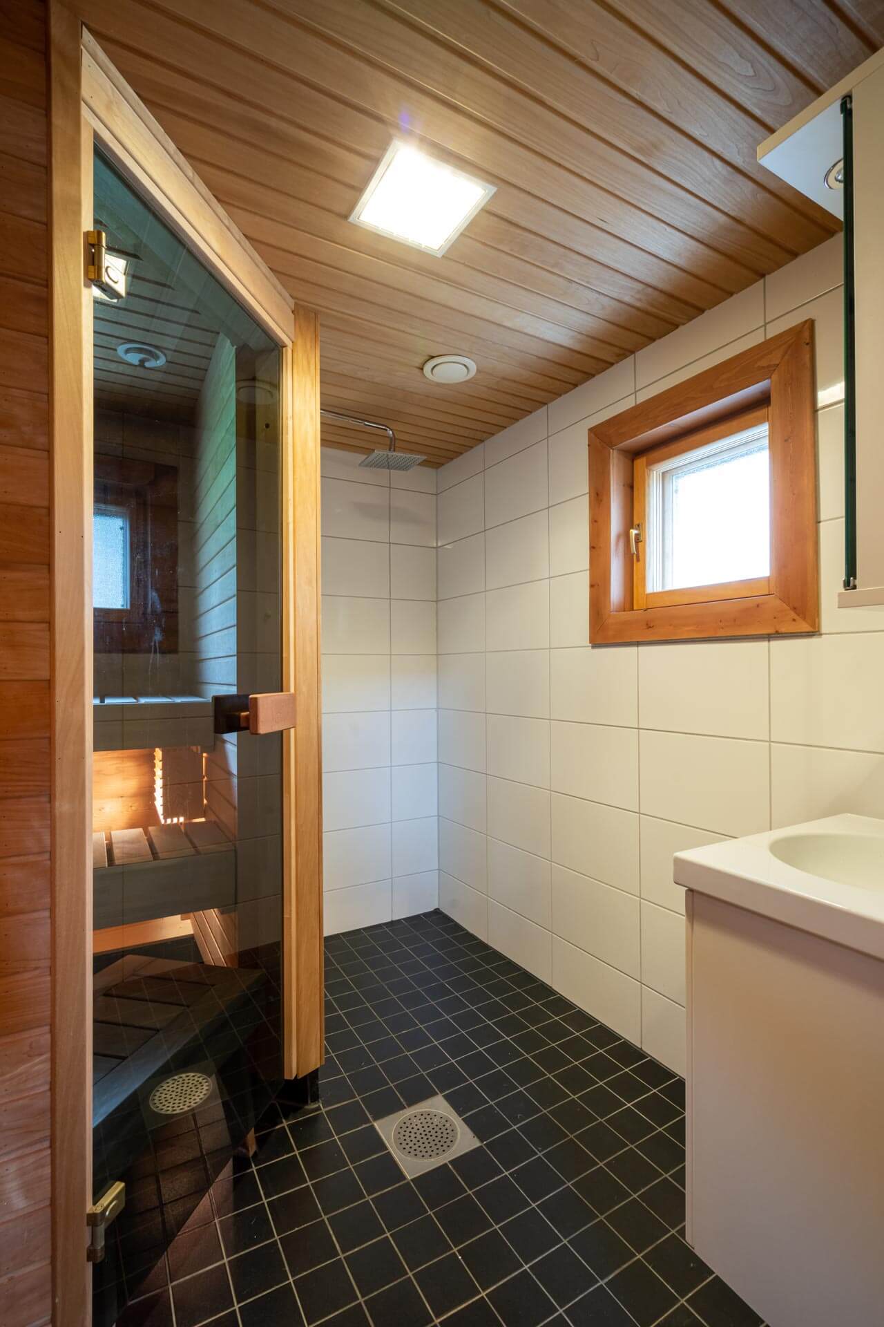 HimosLomat_Aijanhonka_5_12
